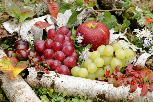 長野県産の人気フルーツ 旬の果物の種類と特徴！通販でお取り寄せ出来る長野のブランドフルーツ りんご ぶどう もも..